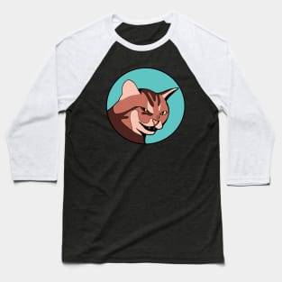 Funny Animal Graphic Design - Scheming Cat Baseball T-Shirt